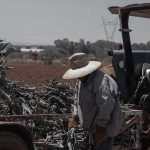 Agricultores manifestam-se contra o MERCOSUL em Estrasburgo
