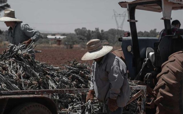 Agricultores manifestam-se contra o MERCOSUL em Estrasburgo