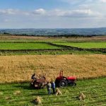 Pesticidas e calor estão a ameaçar ecossistemas agrícolas, diz estudo realizado no Porto
