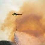 Incêndios aumentaram mais de 100% este ano. Maioria dos detidos são mulheres