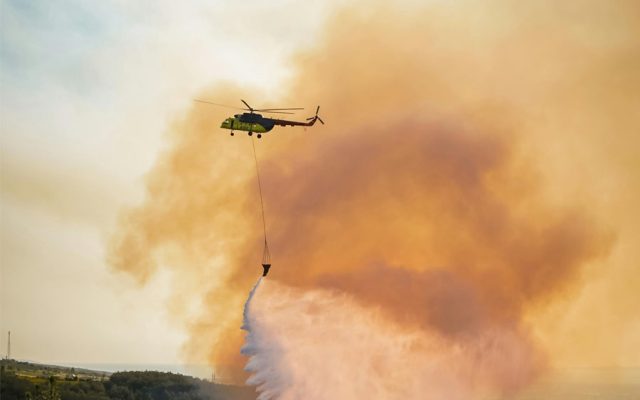 Incêndios aumentaram mais de 100% este ano. Maioria dos detidos são mulheres