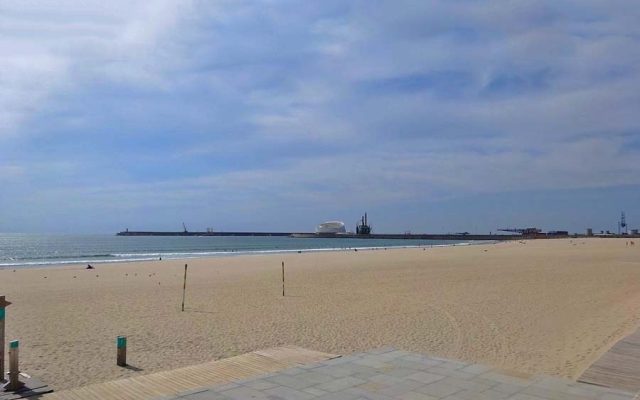Águias para afastar gaivotas na praia de Matosinhos