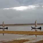 Dois detidos por despejar resíduos junto à ria de Aveiro