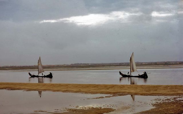 Dois detidos por despejar resíduos junto à ria de Aveiro
