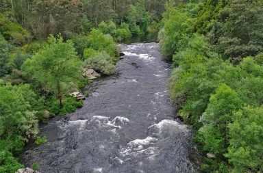 Rios - rio paiva