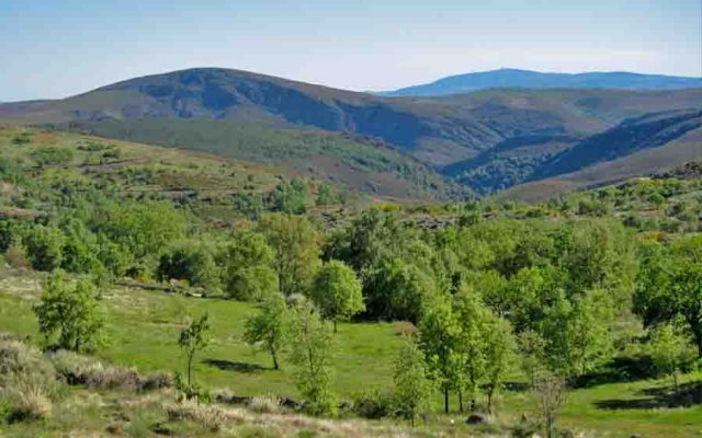 Espanha dá luz verde para a mina de volfrâmio na fronteira com o Parque Natural de Montesinho
