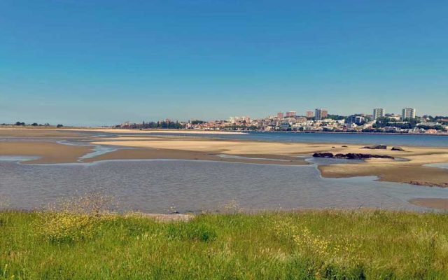 Gaia Verde contesta realização de festival do Forró junto à Reserva Natural do Estuário do Douro