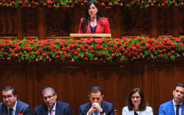 Governo admite integrar resgate de animais de companhia nos planos de Proteção Civil