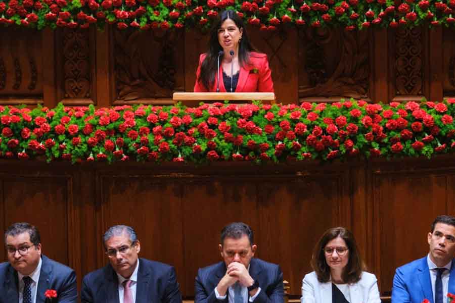 Governo admite integrar resgate de animais de companhia nos planos de Proteção Civil