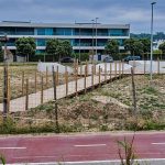 Câmara de Gaia decide cancelar a obra do skate park em Canidelo