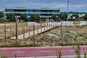 skate park canidelo gaia