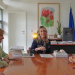 Bragança vai ter um centro de recolha oficial de animais