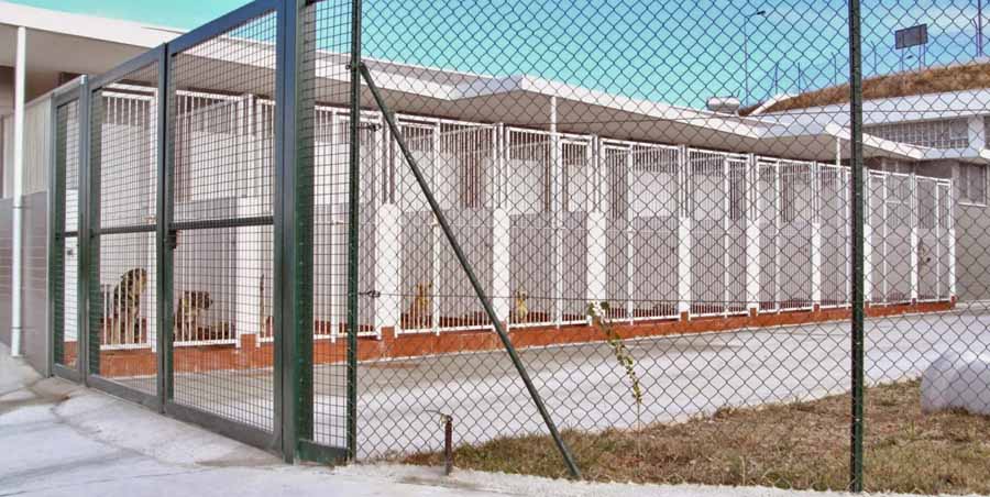 canil intermunicipal vimioso