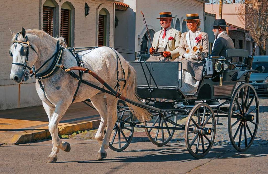 cavalos carrocas turismo