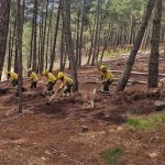 Direita coloca reclusos a limpar matas e em ações de prevenção de riscos coletivos e proteção civil